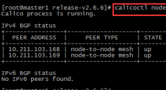 kubernetes1.8.2安装配置calico2.6.6（附4种网络模式性能数